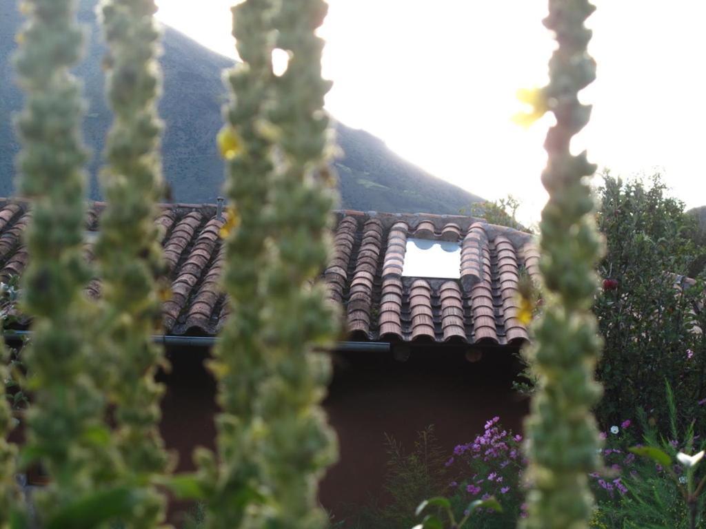 Casa De Aida Lägenhet Calca Exteriör bild